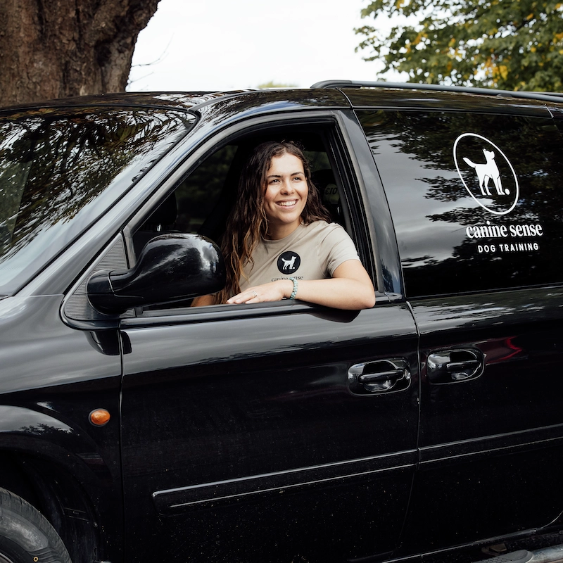 1-2-1 Dog Training - Home Visits