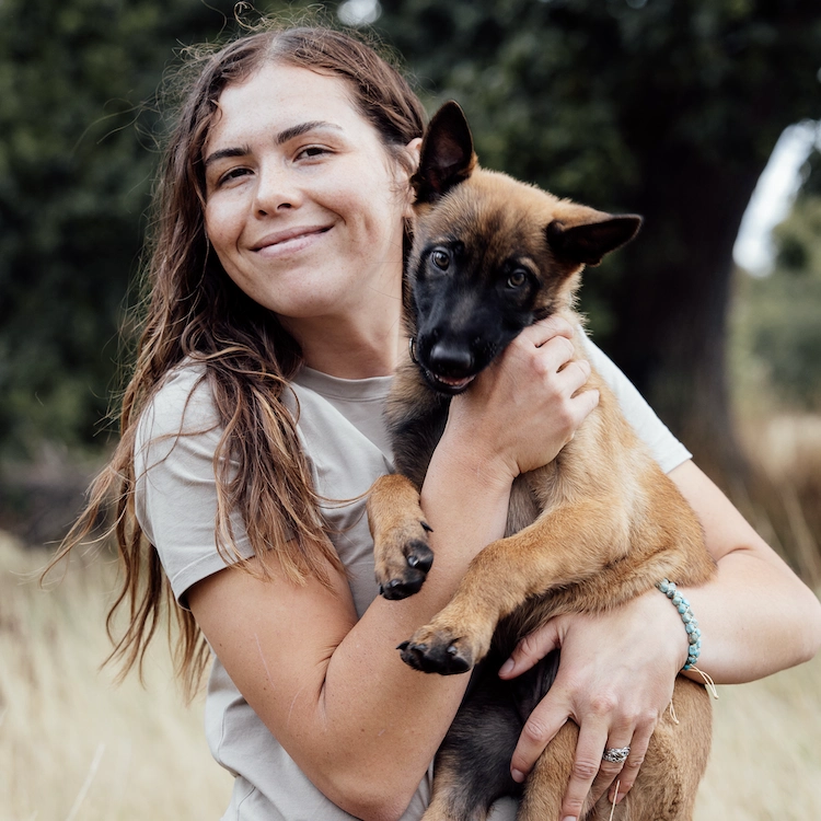 Puppy Training (8 Sessions)